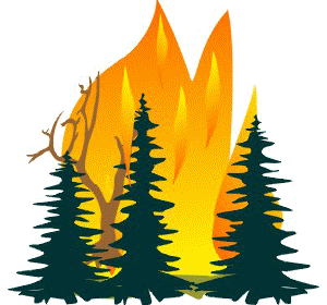 Лесной пожар легче предупредить